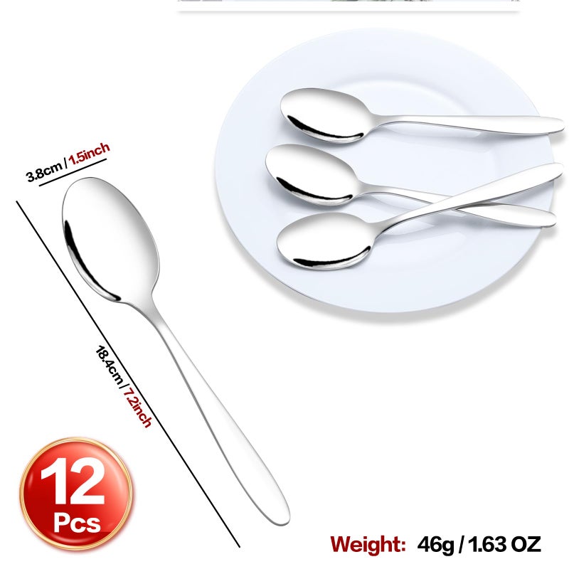 Ramddy Stainless Steel Dessert Spoon, 7.25 Inch, 12 Pieces Small Spoons Set - Image 3